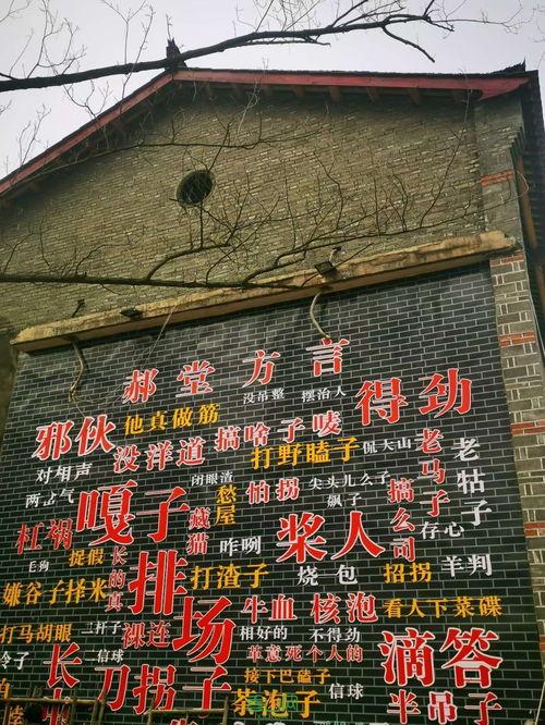 西善堂村爆料案件最新,真相渐露，疑云重重  第1张