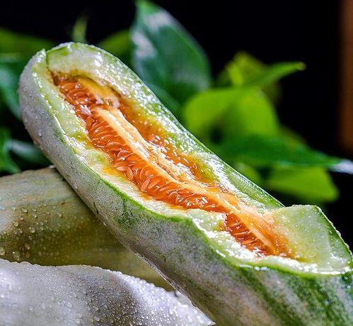 娱乐吃瓜作品有哪些类型,吃瓜群众的多元化娱乐作品类型大盘点  第1张